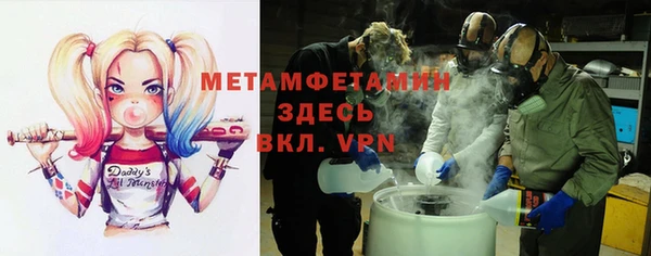 прущие грибы Беломорск