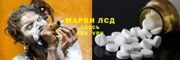 прущие грибы Беломорск