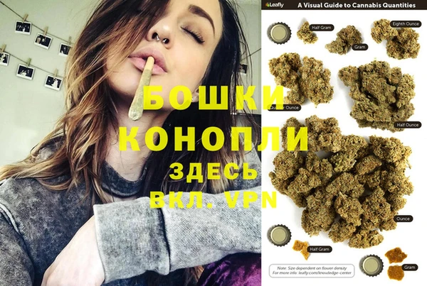 винт Белокуриха