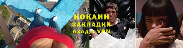 прущие грибы Беломорск