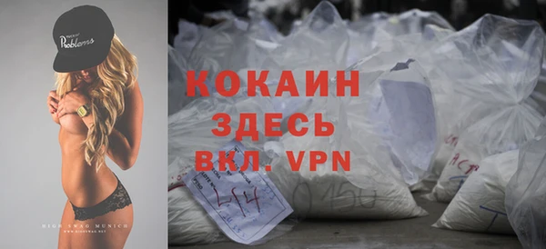 прущие грибы Беломорск