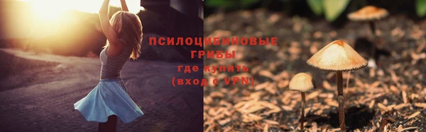 амф Белоозёрский