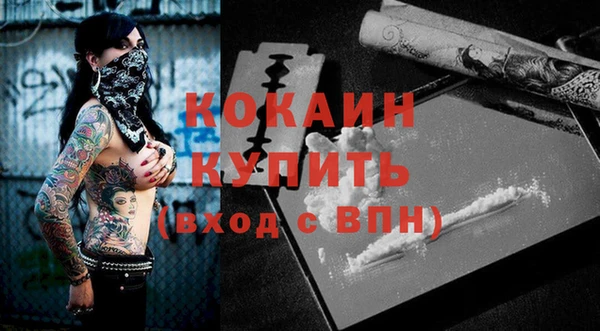 прущие грибы Беломорск