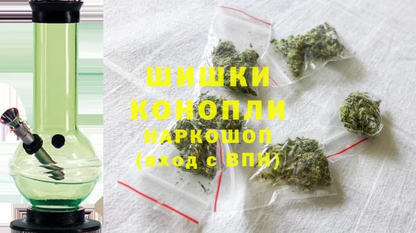 прущие грибы Беломорск