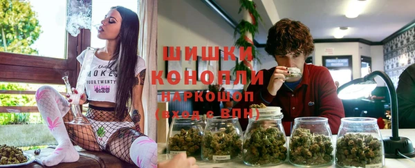 прущие грибы Беломорск