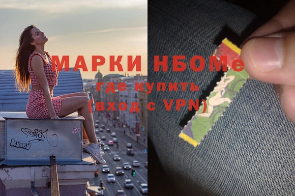прущие грибы Беломорск